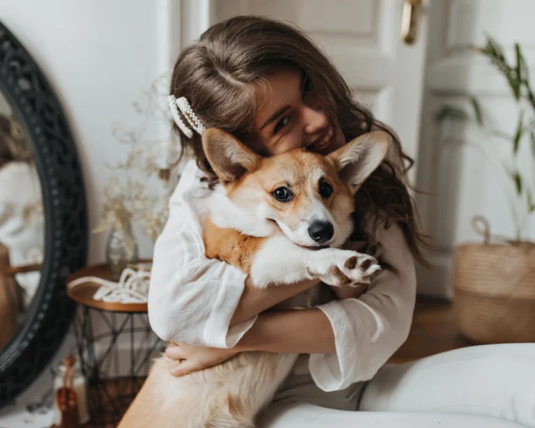 automatic feeder for dogs